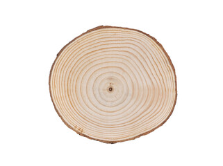 Wood slab tree rings section. Cut wood slice background  with white space   