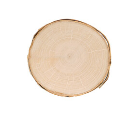 Wood slab tree rings section. Cut wood slice background  with white space   