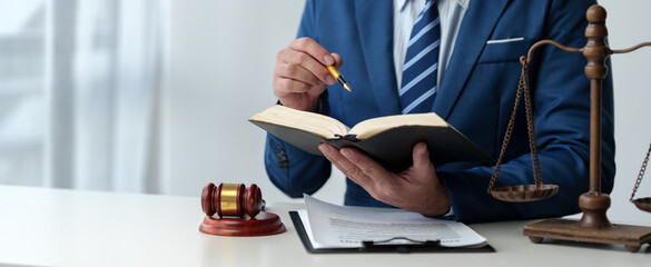 Lawyer, legal advisor, businessman reading and using pen pointing at legal code information...