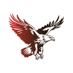 eagle vector illustration