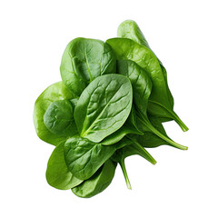 Spinach photograph isolated on white background