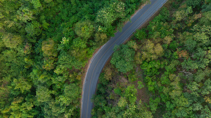 Aerial view of road dark green forest Natural landscape and elevated traffic roads Adventure travel and transportation ideas for the environment	