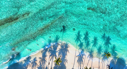 Summer palm tree  and Tropical beach with blue  of seashore background