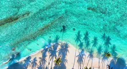 Gordijnen Summer palm tree  and Tropical beach with blue  of seashore background © SASITHORN