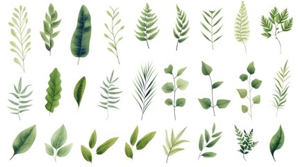 Collection illustration of green leaves