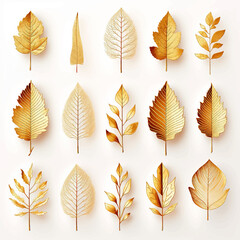 leaves nature autumnal plant seasonal yellow forest foliage fall red orange collection tree set d
