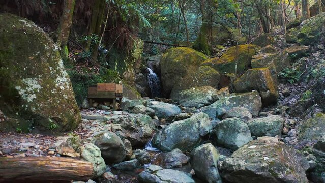 Forward Push Over Mossy Rocks and Mountain Stream in Countryside of Japan