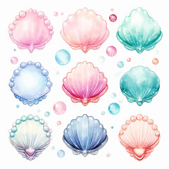 sea set shell design vector nature illustration seashell ocean collection sketch summer drawing c
