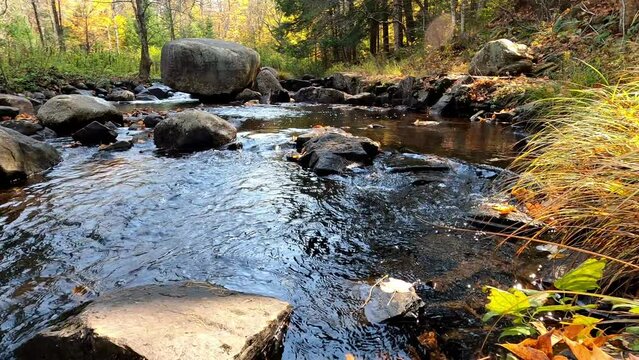 Wilcox Lake 014 Wilderness South Brook New York
