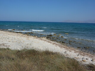 Mastrichari_2023_138
