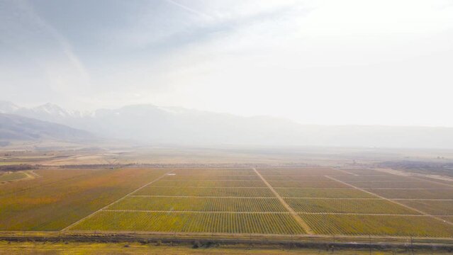 Aerial view of field at autumn in Kazakhstan