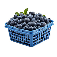 blueberries in a basket on transparent background PNG image