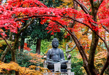 京都、栄摂院の阿弥陀さん