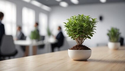 plant in a vase on the table