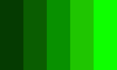 dark green to light green color palette