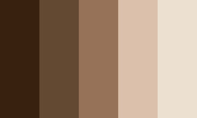 cream coffee colors palette. brown background