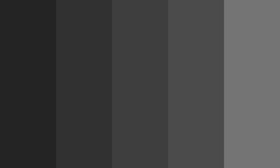 black hair color palette. abstract background