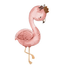 Watercolor flamingo illustration for kids