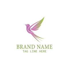 Bird logo design vector illustration for your brand