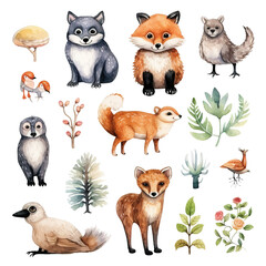 hand draw watercolor zoo and Exotic animal, decoration, equipment cliparts bundle, white background