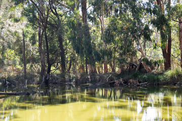 this is unusual as Australia has been in drought the last few years