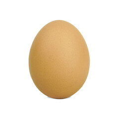 An egg isolated on white background