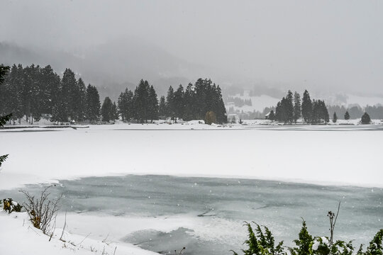Lenzerheide, Valbella, Heidsee, Bergsee, Uferweg, Wanderweg, Winterwanderung, Langlauf, Loipe, Winterlandschaft, Seeufer, Alpen, Tannen, Eis, Schnee, Schneefall, Nebel, Winter, Graub&uuml;nden, Schweiz
