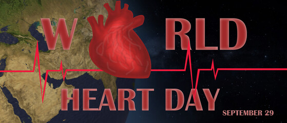 Human heart with heartbeat line. World Heart Day. - obrazy, fototapety, plakaty
