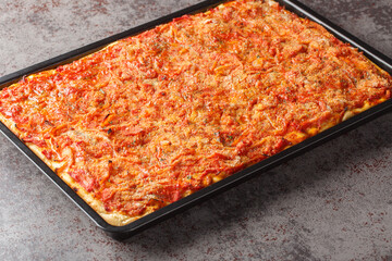 Sfincione most popular Sicilian pizza a thick flatbread seasoned with tomato sauce, anchovies, and...