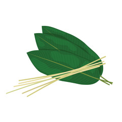 Dong leaves and bamboo strings vector illustration isolated on white background. Ingredients for making sticky rice cake, banh chung. Elements for Tet holidays, Vietnamese New Year.
