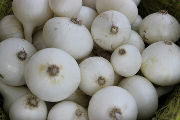 Background of many white onion tubers in a basket at grocery shop closeup view