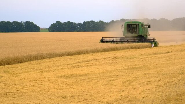 harvester harvests wheat on the field. Selective focus. food.