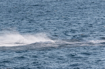 sea water with waves as background.