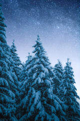 Snow covered mountains and pine trees at night with starry sky. Winter sports vacations in the French Alps. Winter peaceful zen wallpaper