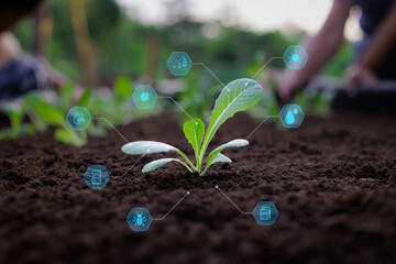 Young sprout growing in farm with plant growth factor icon. Smart farming, modern agricultural technology, digital farming, sustainable development, Agriculture and Ecology concept. - obrazy, fototapety, plakaty