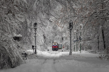 Budapest, Hungary - Beautiful winter forest scene with snowy forest and old colorful childrens train on the track in the Buda Hills near Csilleberc