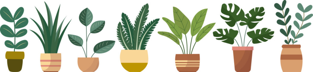 indoor plants in flat style, on white background, vector - obrazy, fototapety, plakaty