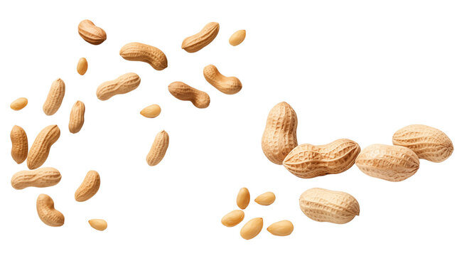Peanuts, a pile of peanuts and seeds being separated from each other