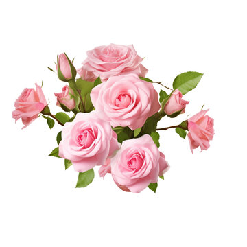 Bouquet of pink roses, romantic valentine wedding gift
