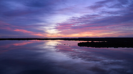 Sunrise in the wetlands of the Camargue - obrazy, fototapety, plakaty
