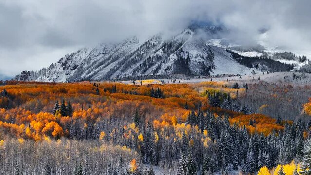 Stunning Kebler Pass Crested Butte Colorado stunning fall winter first snow seasons collide aerial cinematic drone yellow aspen tree forest Rocky Mountains fog clouds lifting upward jib motion