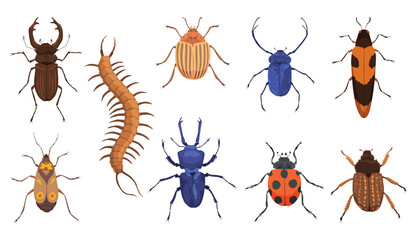 Insect vector icons flat set. Spring and summer insects. Bug species and exotic beetles icons collection - obrazy, fototapety, plakaty