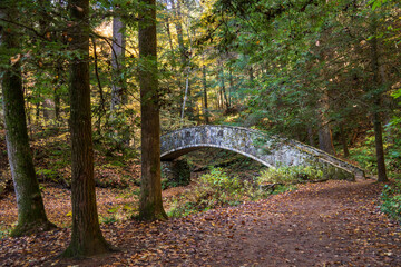 Foot Bridge and River at Hocking Hills State Park in the Hocking Hills region of Hocking County, Ohio, United States