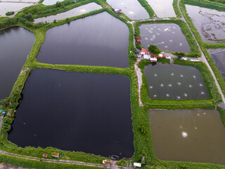 Tai Sang Wai Drought Fish Ponds.