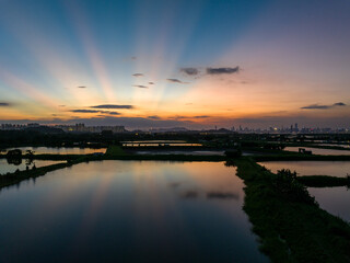 Fototapeta na wymiar Twilight in Tai Sang Wai Drought Fish Ponds.