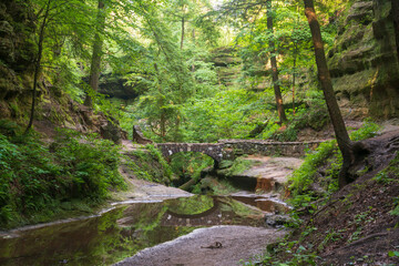 Obraz premium Foot Bridge and River at Hocking Hills State Park in the Hocking Hills region of Hocking County, Ohio, United States