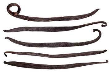 Vanilla bean isolated on white background, clipping path, full depth of field