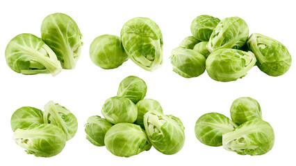 Brussel sprout isolated on white background, full depth of field