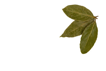 A set of three dry bay leaves. PNG, transparent background.