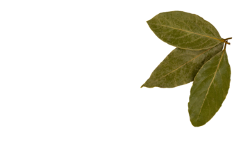 A set of three dry bay leaves. PNG, transparent background.
